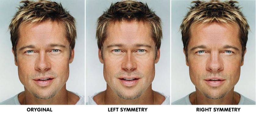 faces-photoshopped-to-reveal-perfect-symmetrical-features-22424-954x431