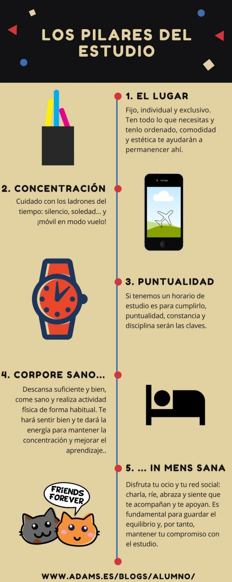 antes-de-empezar-a-estudiar-480x1200