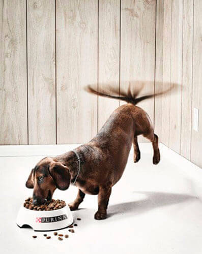 anuncios-publicitarios-100-mejores-ejemplos-creativos-del-mundo20